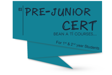 Pre-Junior Cert Irish Courses