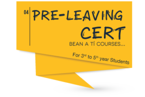 Pre-Leaving Cert Irish Courses