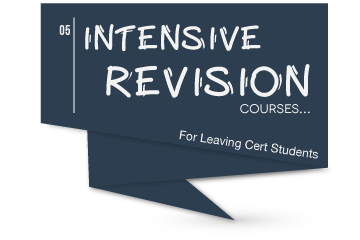 Intensive Revision Irish Course