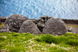 dingle-beehives