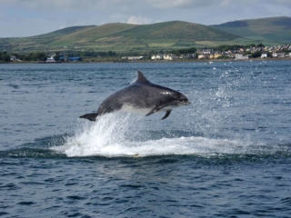 Irish Courses for 1st and 2nd year Irish Courses for 1st and 2nd year