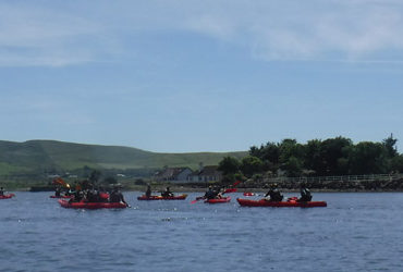 kayaking-dingle-harbour