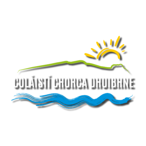 Coláistí Chorca Dhuibhne 2020 Hoodie