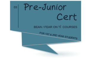 Pre-Junior Cert Courses