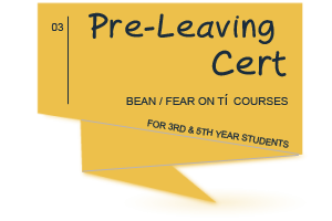 Pre-Leaving Cert Courses