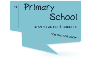 Primary School Courses